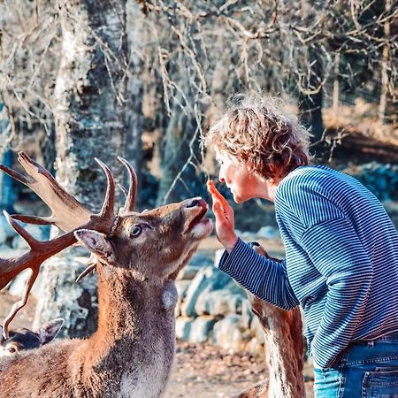 Вилла Damwildfarm In Rollerbue Suedschweden Тюринге Экстерьер фото