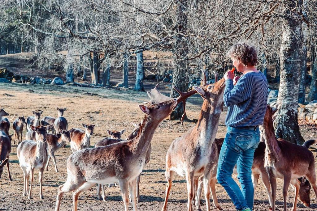 Вилла Damwildfarm In Rollerbue Suedschweden Тюринге Экстерьер фото
